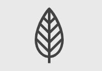 Environment Badge Icon